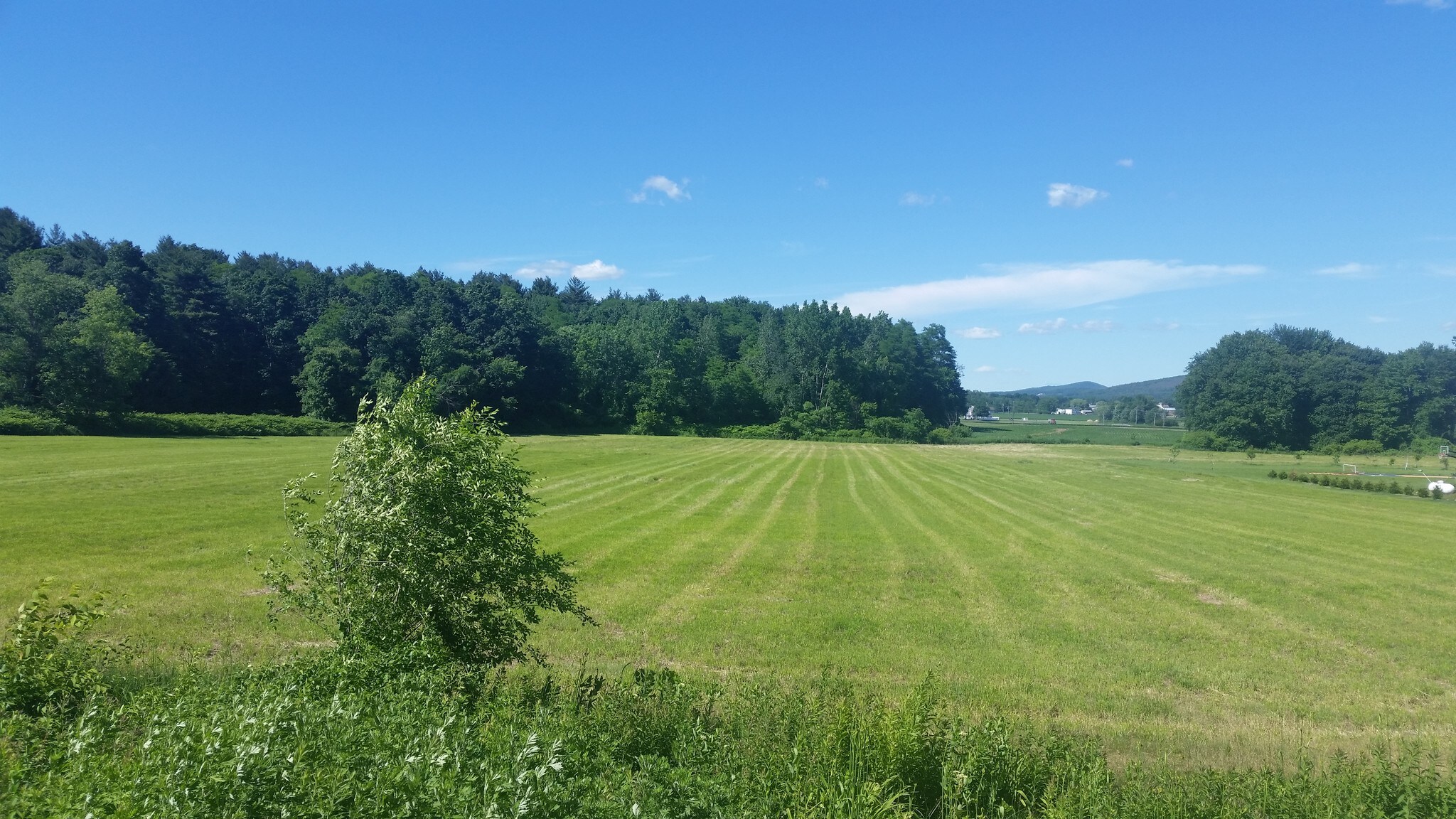 21 Sadds Mill Rd, Ellington, CT for sale Construction Photo- Image 1 of 1