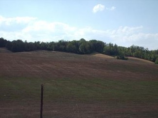 More details for No Pone Valley Rd S, Decatur, TN - Land for Sale