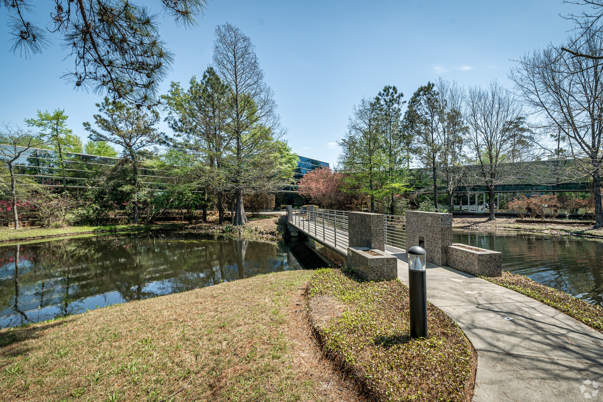 8708 Technology Forest Pl, The Woodlands, TX for lease Building Photo- Image 1 of 7