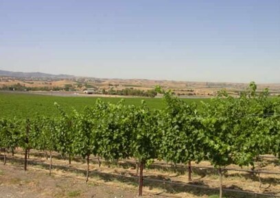 9846 Reuss Rd, Livermore, CA for sale Construction Photo- Image 1 of 1