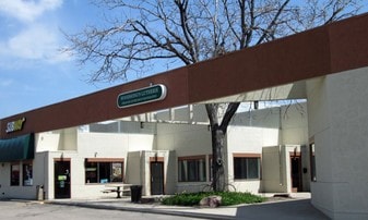 Atrium Shops - Automotive Property