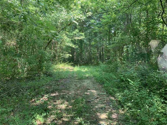 Gander, Elberfeld, IN for sale Primary Photo- Image 1 of 1
