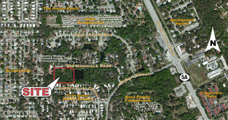 More details for Old Hammock Rd & Herbert St, Port Orange, FL - Land for Sale