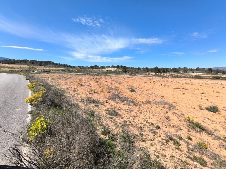 Land in Jumilla for sale - Building Photo - Image 2 of 4