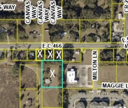 3745 E County Road 466, Oxford, FL - AERIAL map view - Image1