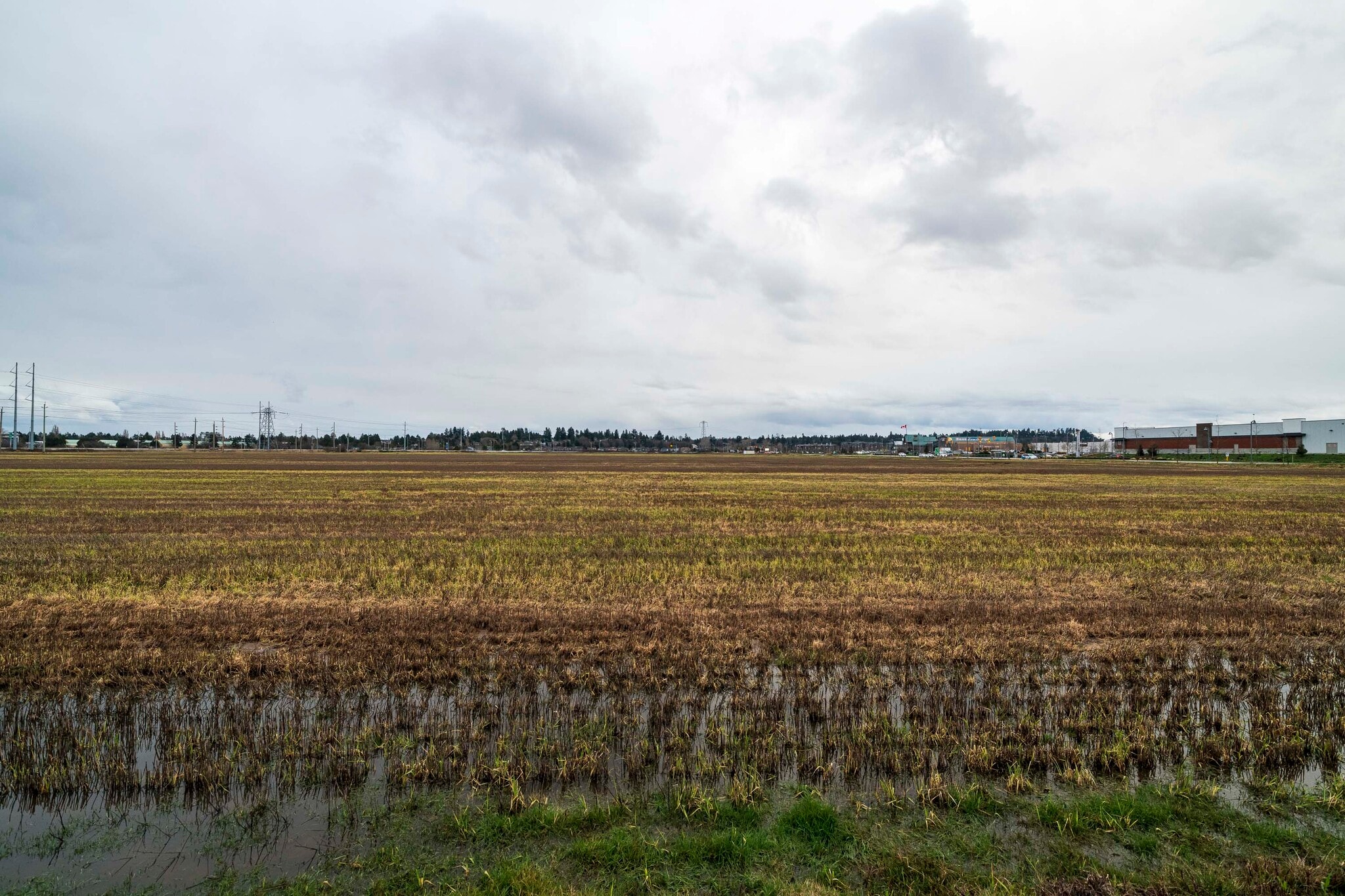 2150-2250 52nd St, Delta, BC for sale Building Photo- Image 1 of 1