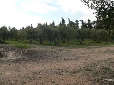 Land in Cambrils, Tarragona for sale - Interior Photo - Image 3 of 8