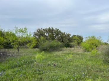 TBD County Road, Brookesmith, TX for sale - Primary Photo - Image 1 of 28