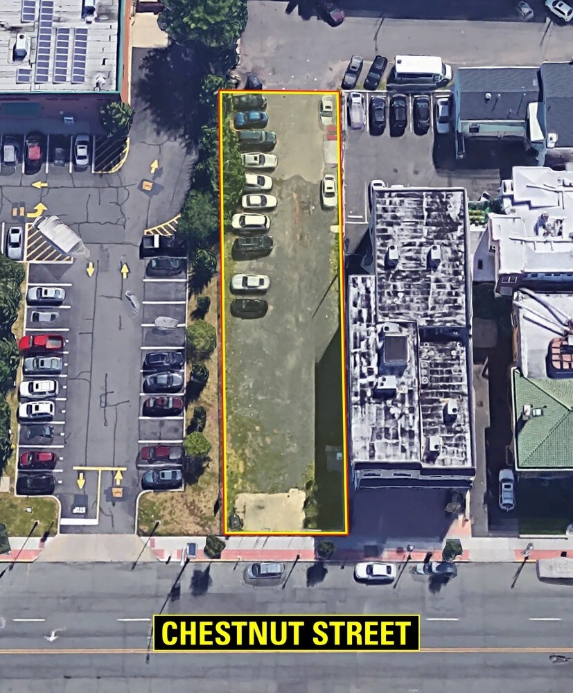 117-119 Chestnut St, Roselle, NJ for sale Primary Photo- Image 1 of 1