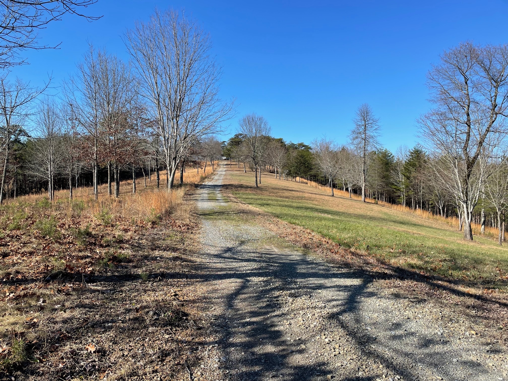 0 Dry Pond Rd, Waleska, GA for sale Primary Photo- Image 1 of 44