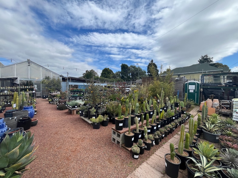 1509 4th St, Berkeley, CA for sale - Building Photo - Image 3 of 8