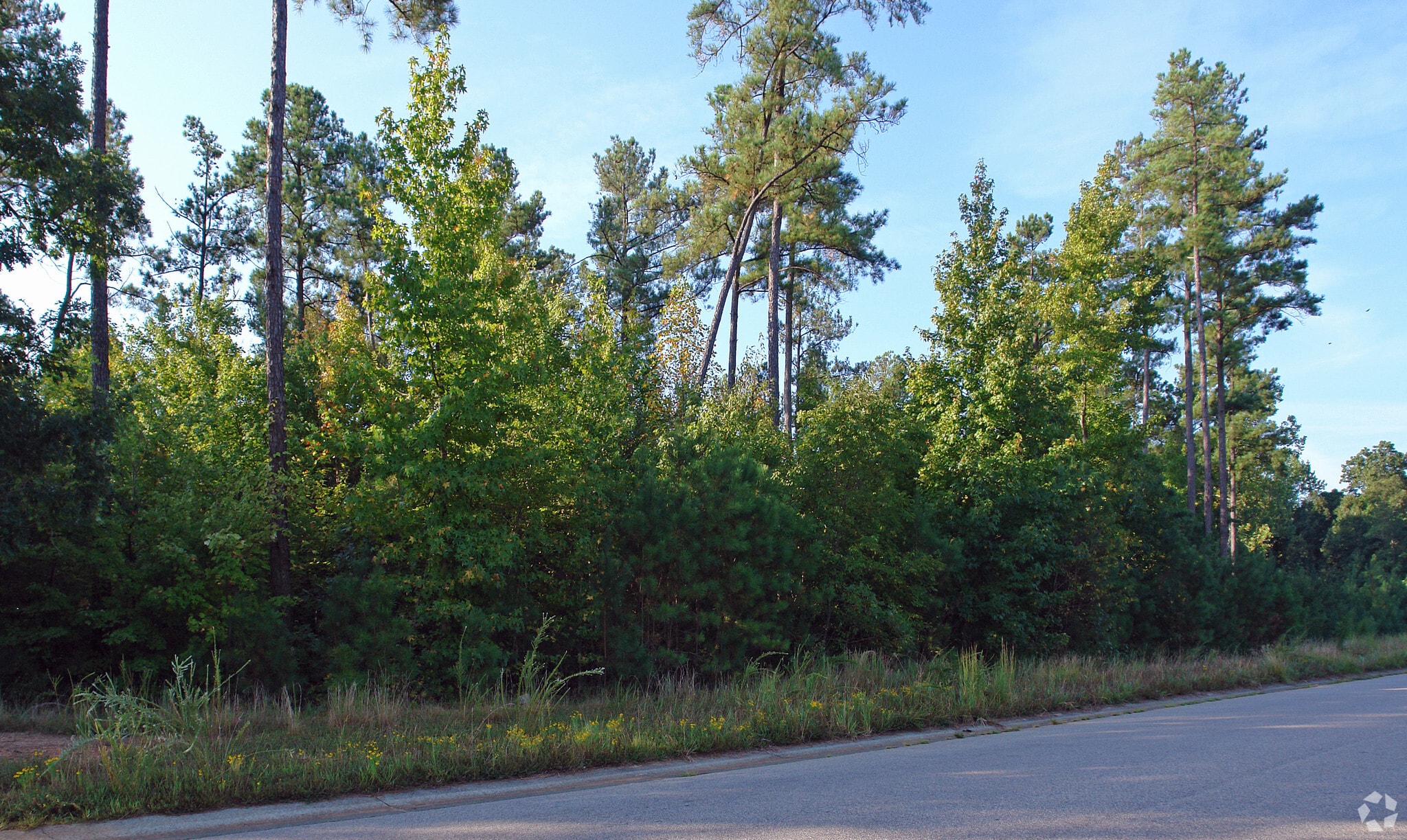 Flaherty Ave @ Royal Mill Ave, Wake Forest, NC for sale Primary Photo- Image 1 of 1