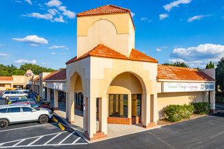 More details for 38501-38581 N Us Hwy 19, Palm Harbor, FL - Retail for Lease