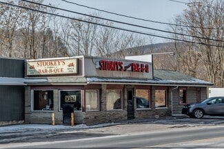 More details for 122 E Poplar St, Nanticoke, PA - Retail for Sale