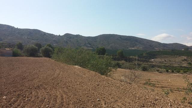 Land in Orihuela for sale - Building Photo - Image 3 of 7