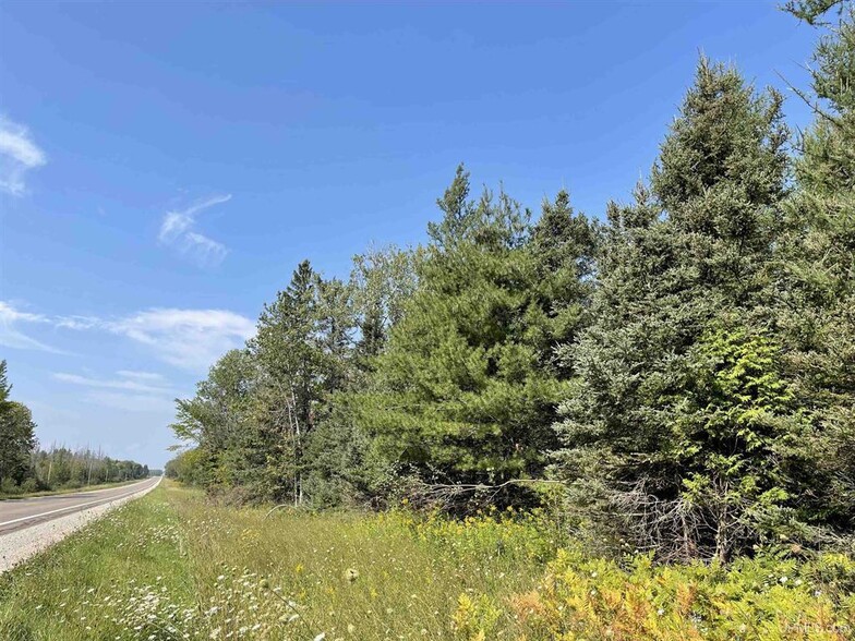 80 Acres on M-94, Skandia, MI for sale - Primary Photo - Image 1 of 1