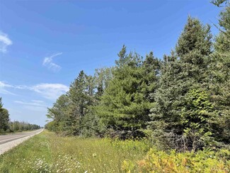 More details for 80 Acres on M-94, Skandia, MI - Land for Sale