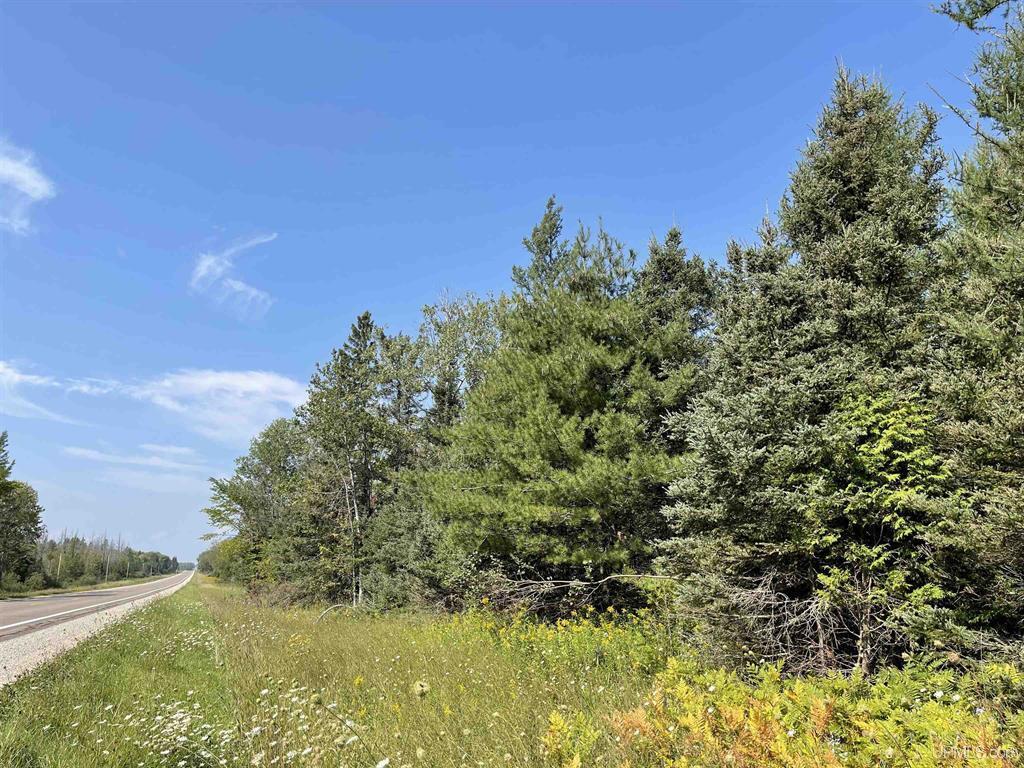 80 Acres on M-94, Skandia, MI for sale Primary Photo- Image 1 of 1