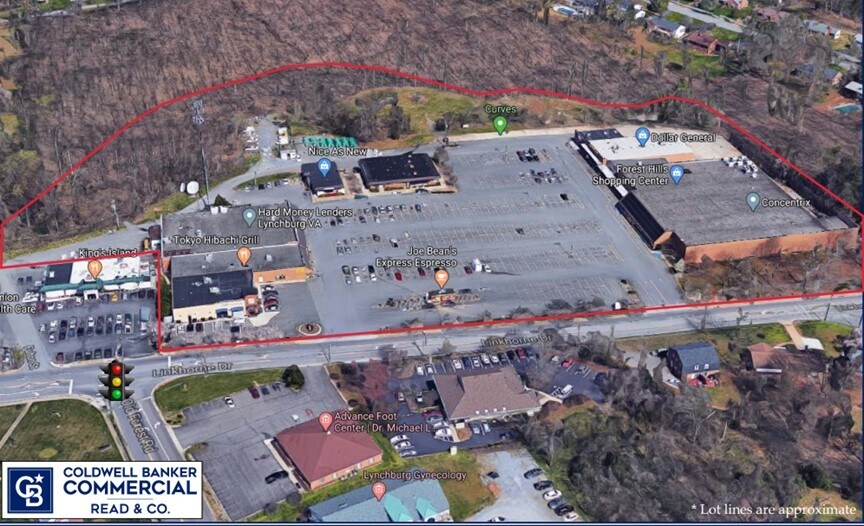 Forest Hill Shopping Center Lynchburg, VA for Sale