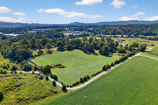 More details for 467 Butler Farm Rd, Mills River, NC - Land for Sale