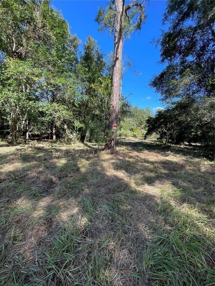 2330 E University Ave, Gainesville, FL for sale - Other - Image 3 of 8