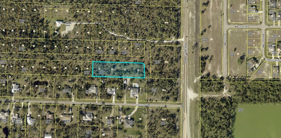 3223 Delilah Drive, Cape Coral, FL for sale - Aerial - Image 1 of 2