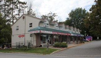 More details for 1488 Stittsville Main St, Ottawa, ON - Retail for Lease