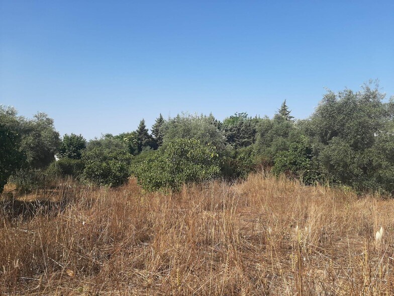 Land in Casas de Don Antonio for sale - Building Photo - Image 3 of 12