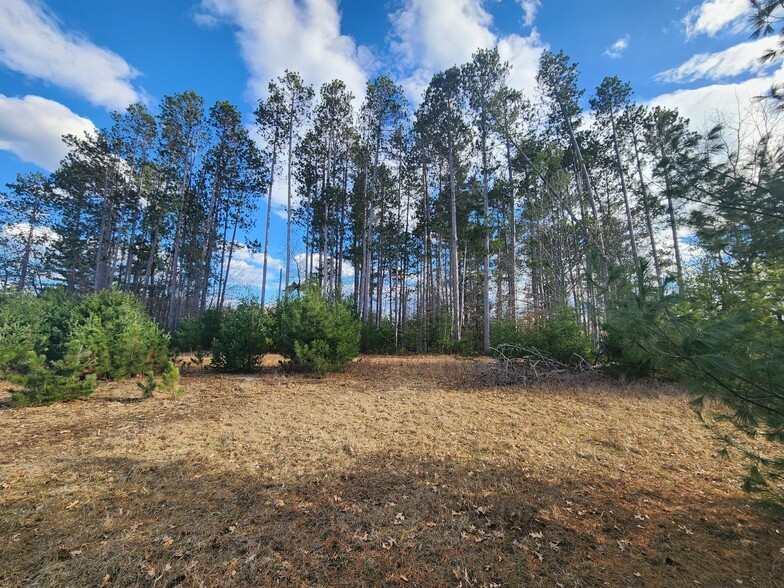 Lot 6 - 7 Plaza Drive, Minocqua, WI for sale - Primary Photo - Image 1 of 3