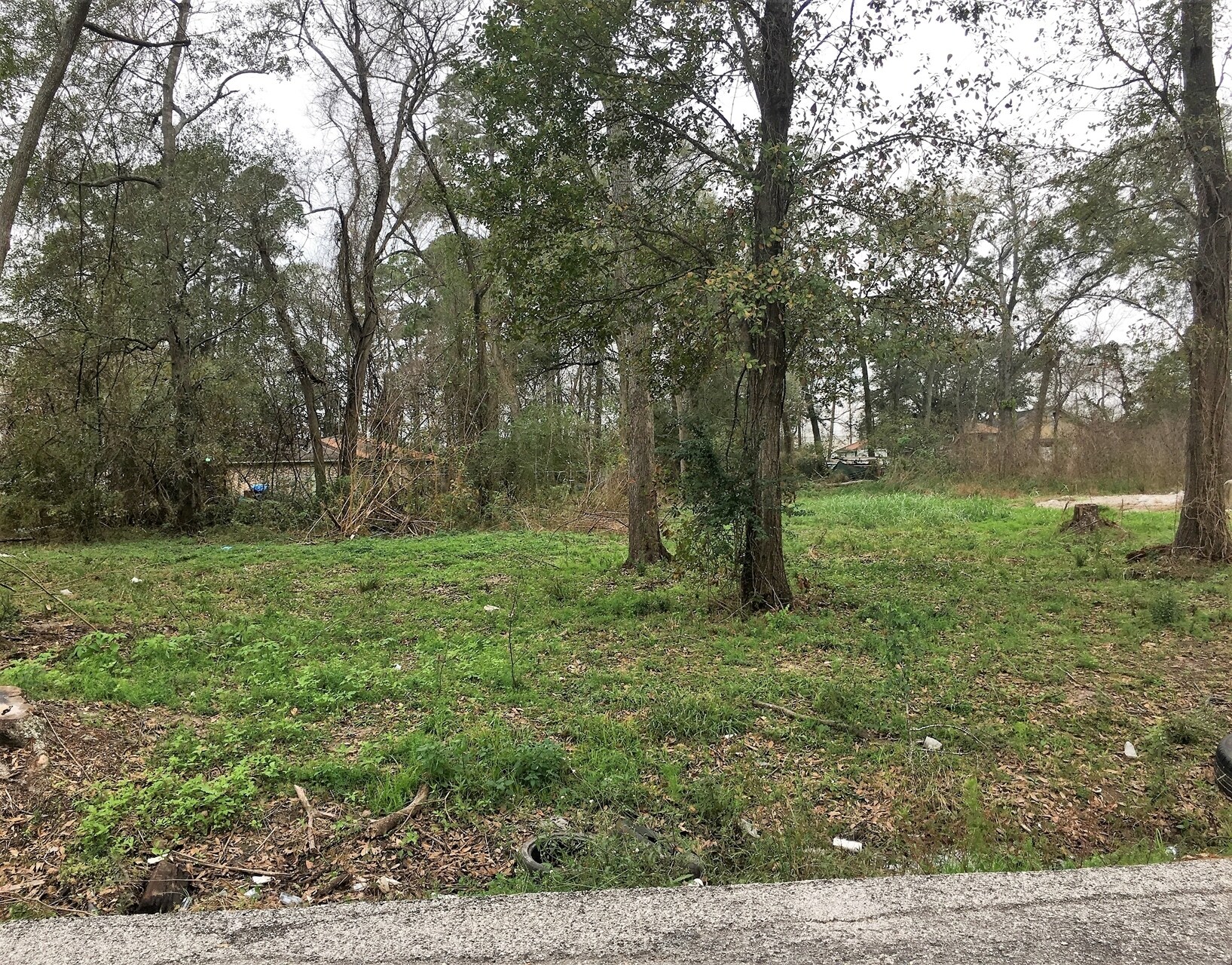 Carver Ave, Humble, TX for sale Primary Photo- Image 1 of 1