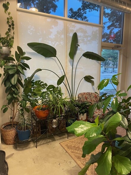 489 Ellicott St, Buffalo, NY for lease - Building Photo - Image 3 of 5