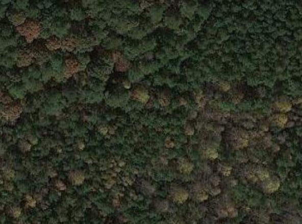 Stone Heritage Rd, Middlesex, NC for sale Primary Photo- Image 1 of 1