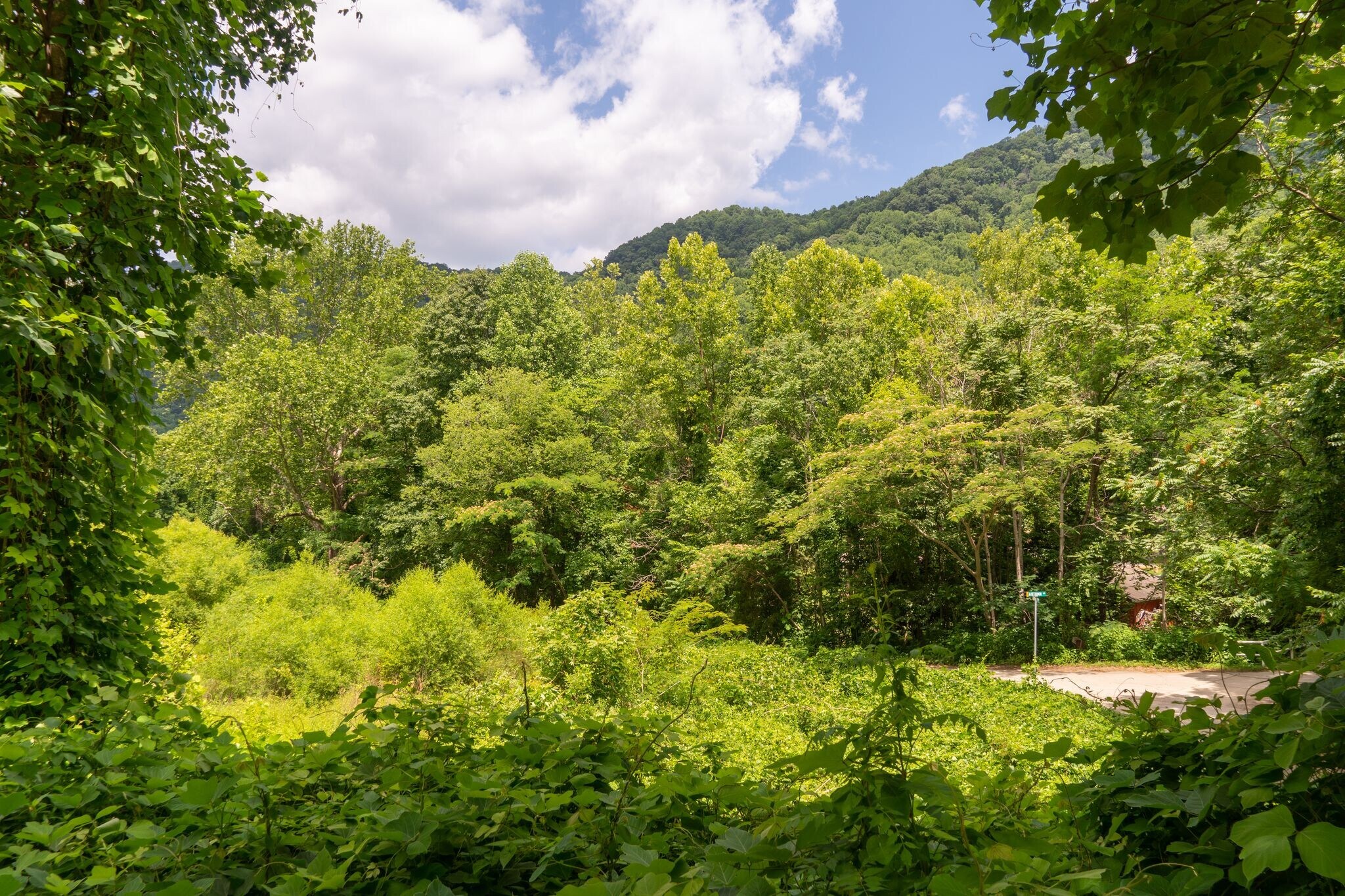 30 Riverby Ln, Tryon, NC 28782 Land for Sale