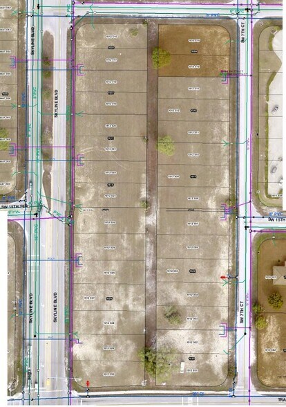1525 Skyline Blvd, Cape Coral, FL for sale - Plat Map - Image 3 of 3