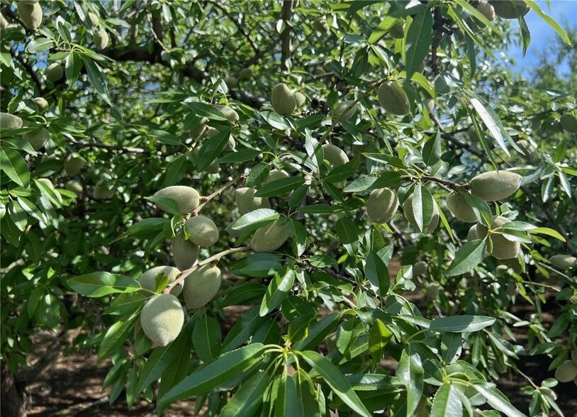 1192 E Gerard Ave, Merced, CA for sale - Building Photo - Image 3 of 6