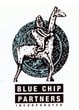 Blue Chip Partners Inc.