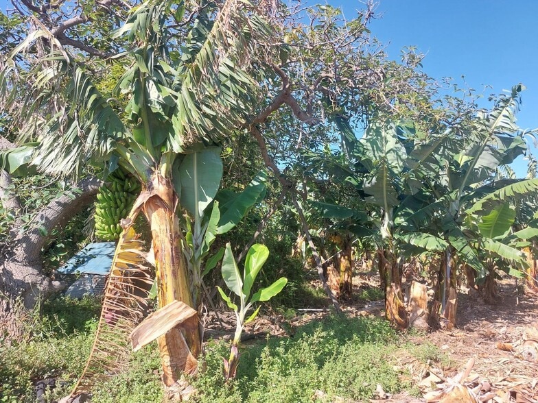 Land in San Cristóbal de La Laguna, Santa Cruz de Tenerife for sale - Building Photo - Image 2 of 17