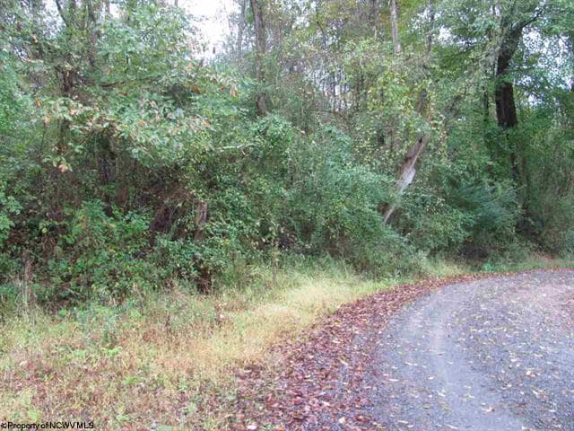 Rosedale Hill, Morgantown, WV for sale - Other - Image 2 of 10