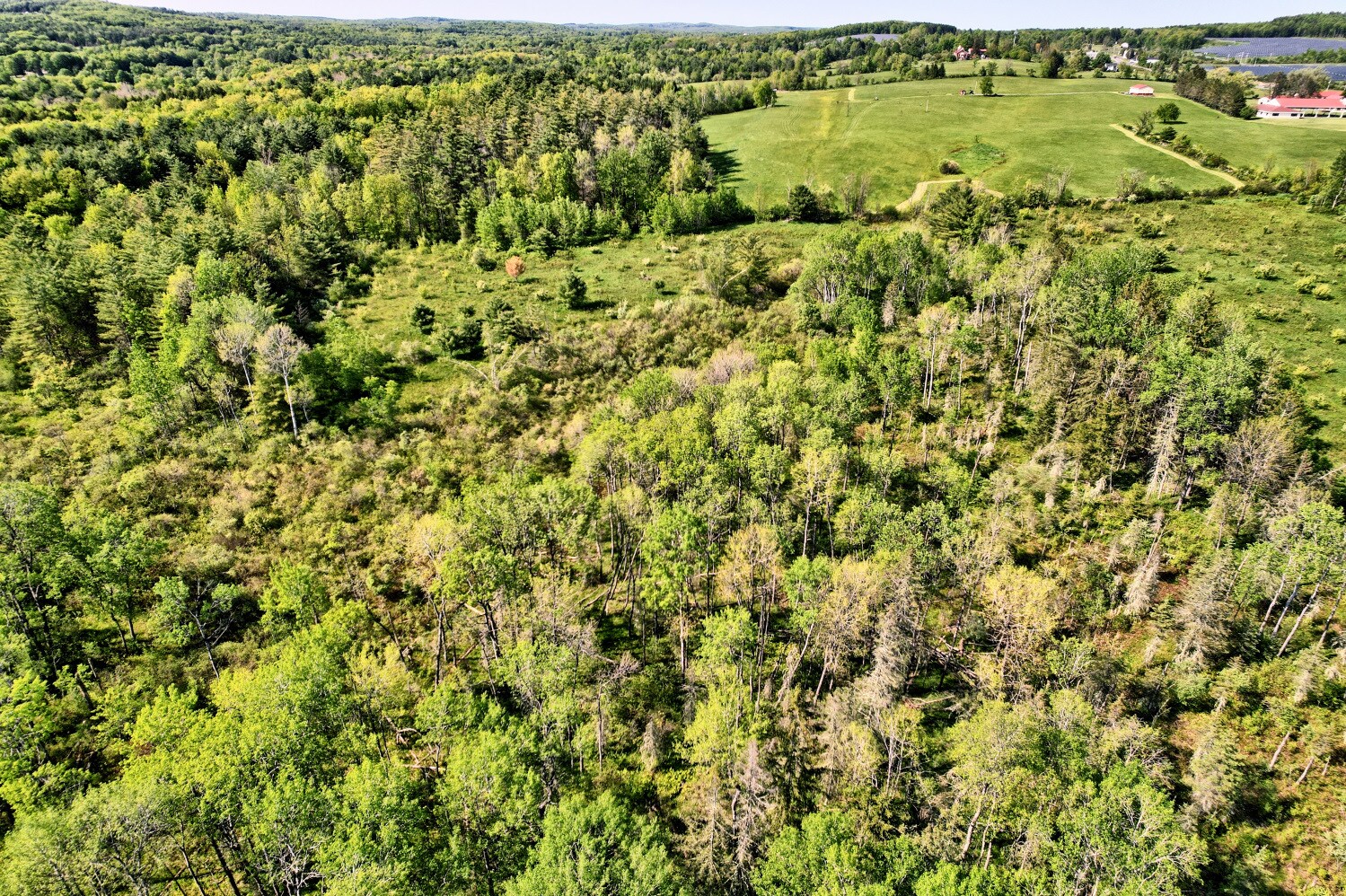 11649 NY32, Greenville, NY 12083 Prime Land on State Route 32