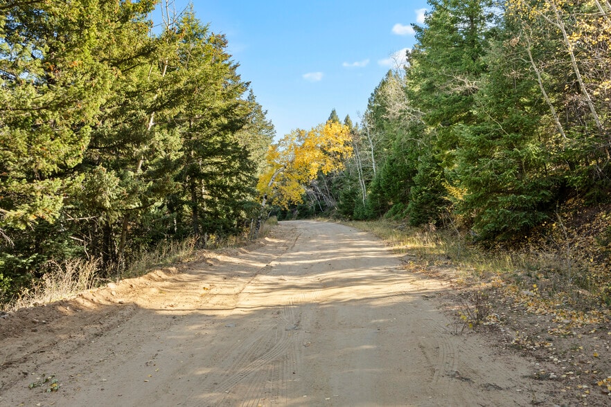 11696 Trappers Mountain Trl, Littleton, CO for sale - Building Photo - Image 3 of 30
