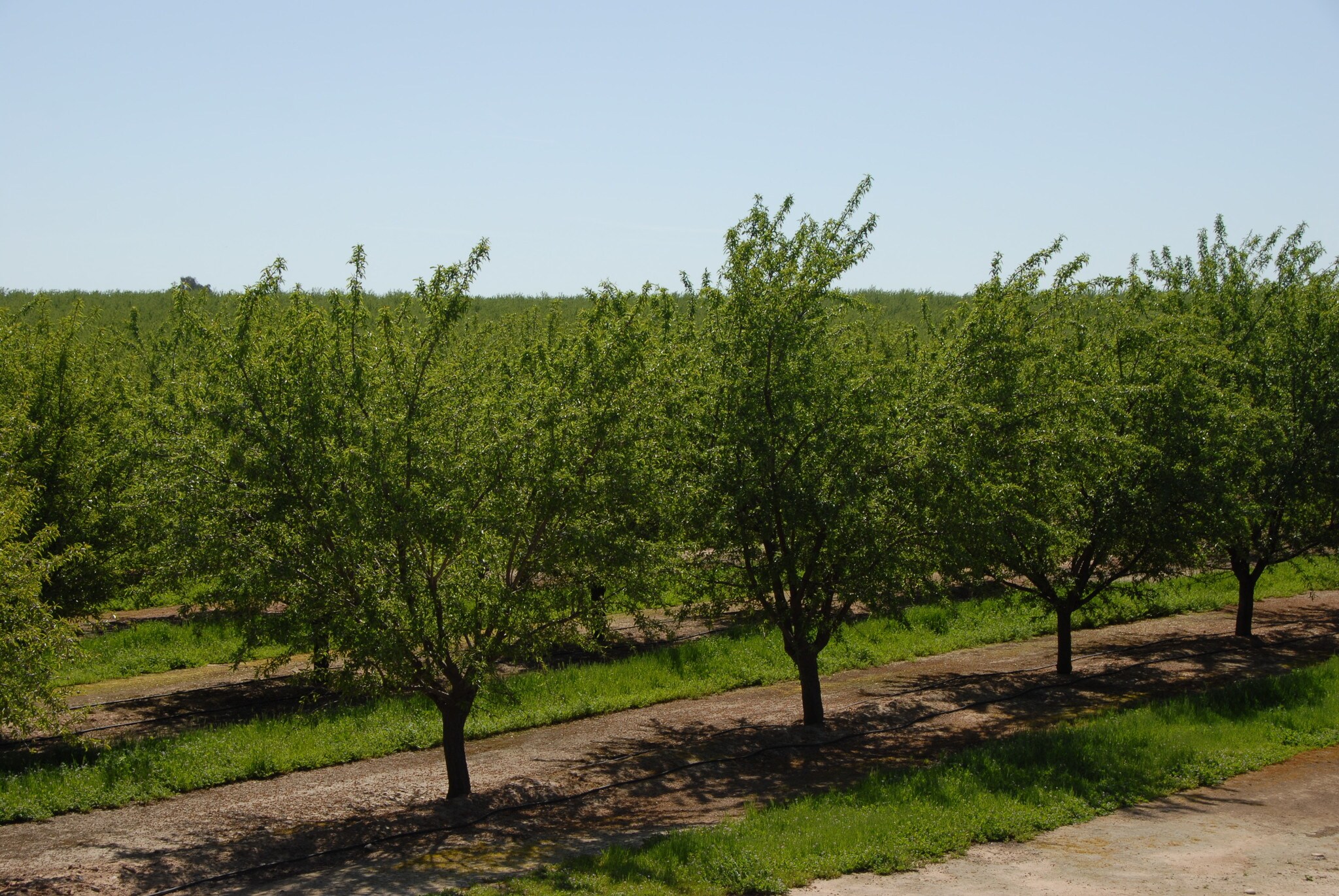 Robinson Rd, Snelling, CA for sale Other- Image 1 of 1