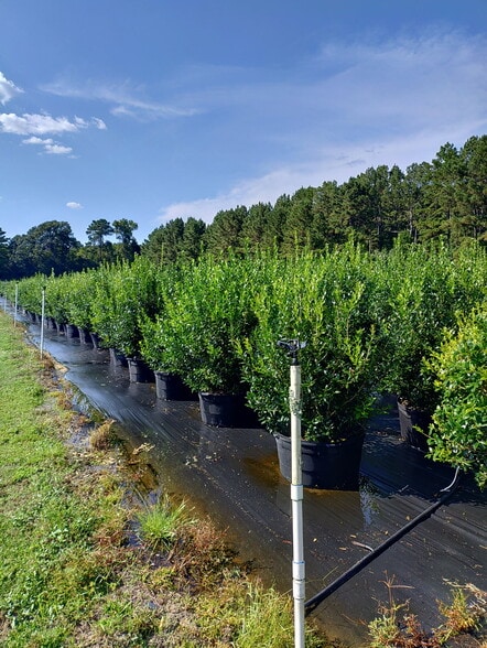 224 Co Rd 096, Jasper, TX for sale - Building Photo - Image 2 of 16