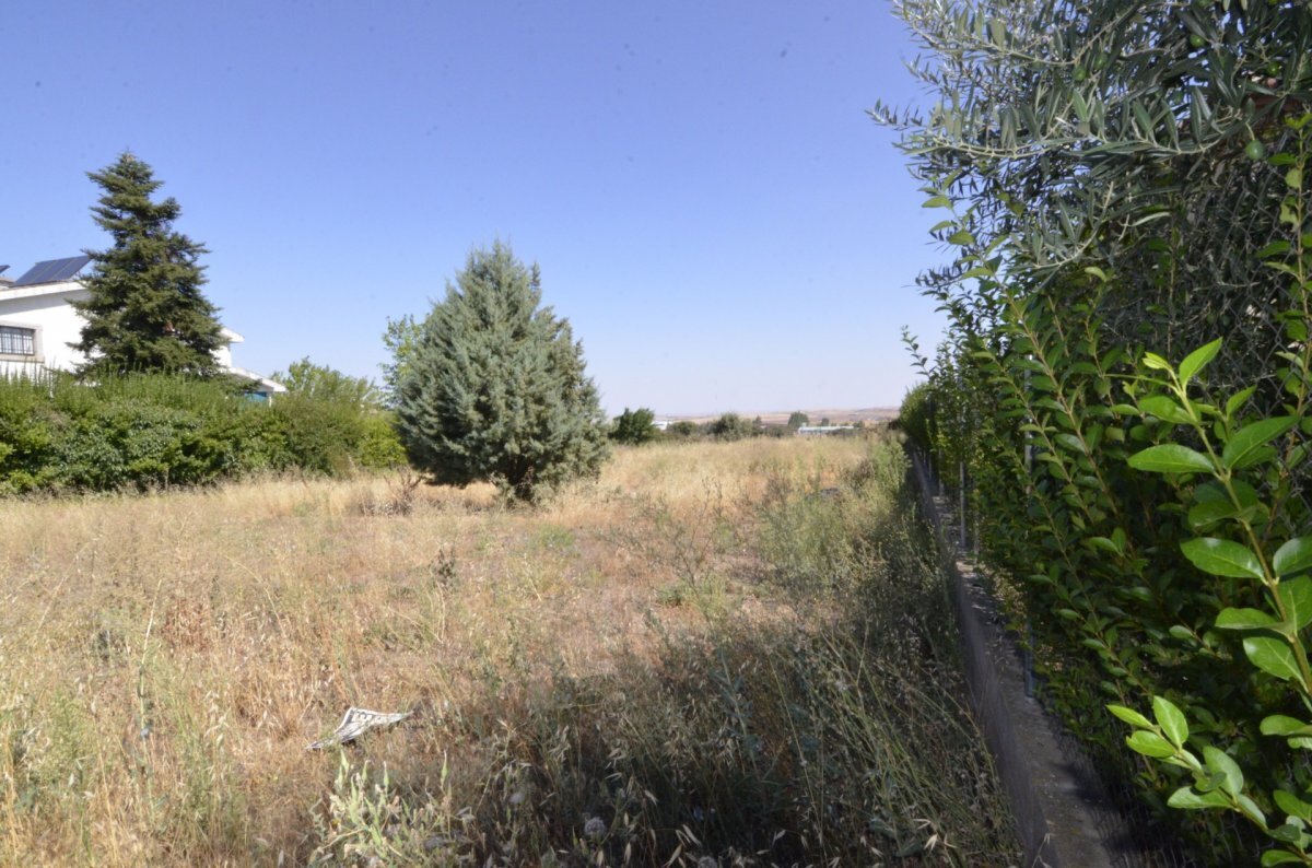 Land in Carrascal de Barregas for sale Building Photo- Image 1 of 32
