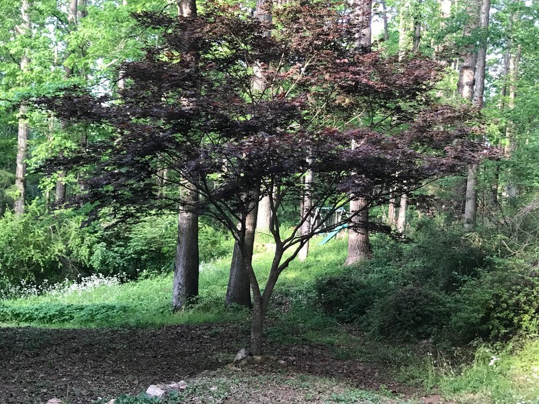 6200 Kemp Dr, Acworth, GA 30102