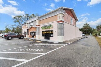 More details for 155 SE US Highway 19, Crystal River, FL - Retail for Sale