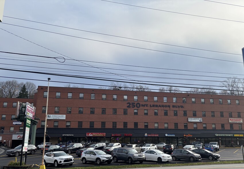 250 Mt Lebanon Blvd, Pittsburgh, PA for lease - Building Photo - Image 2 of 28