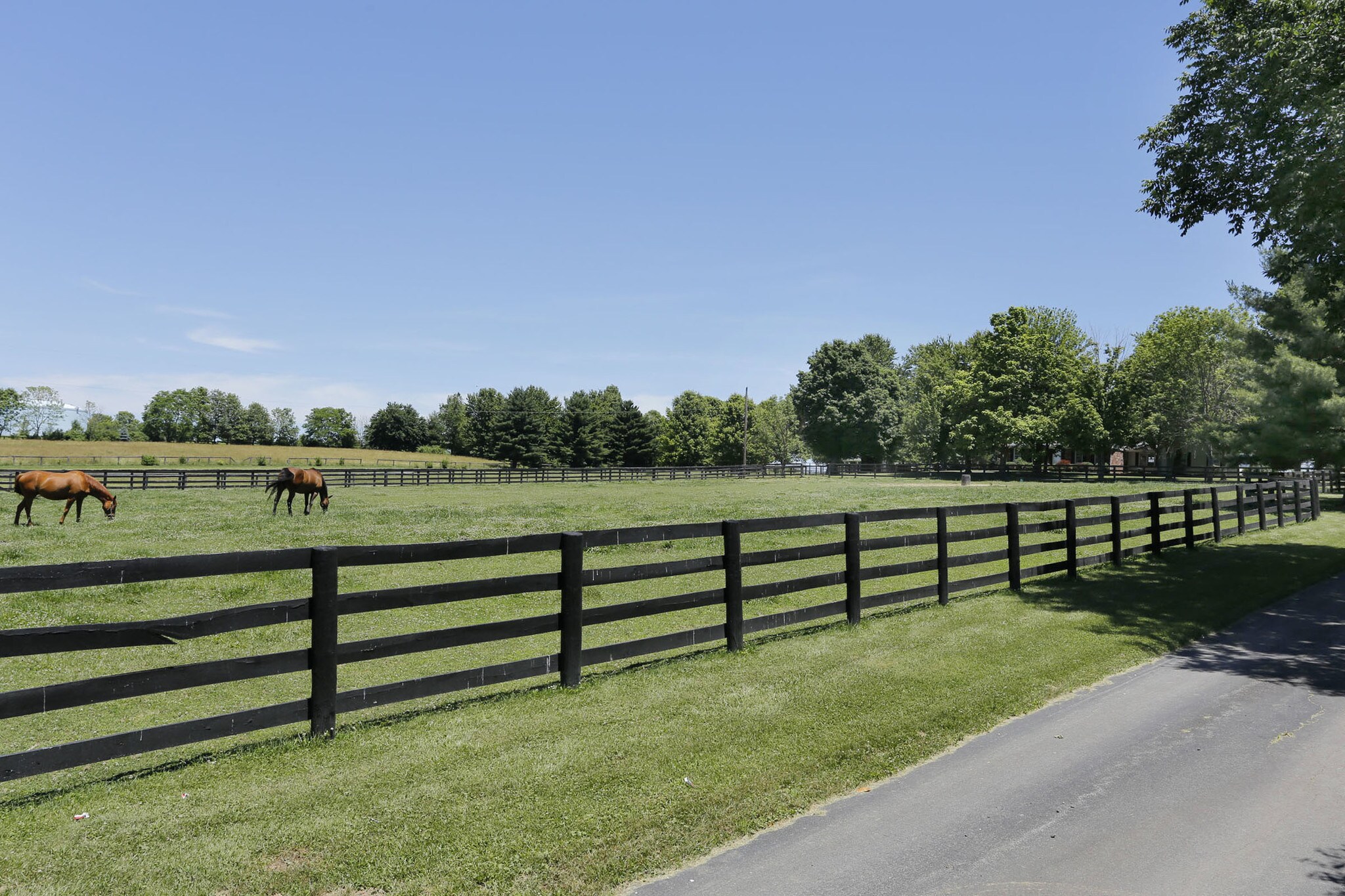 7240 Russell Cave Rd, Lexington, KY for sale Other- Image 1 of 1
