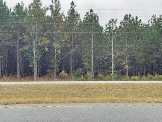 More details for U.S. 341, Fort Valley, GA - Land for Sale