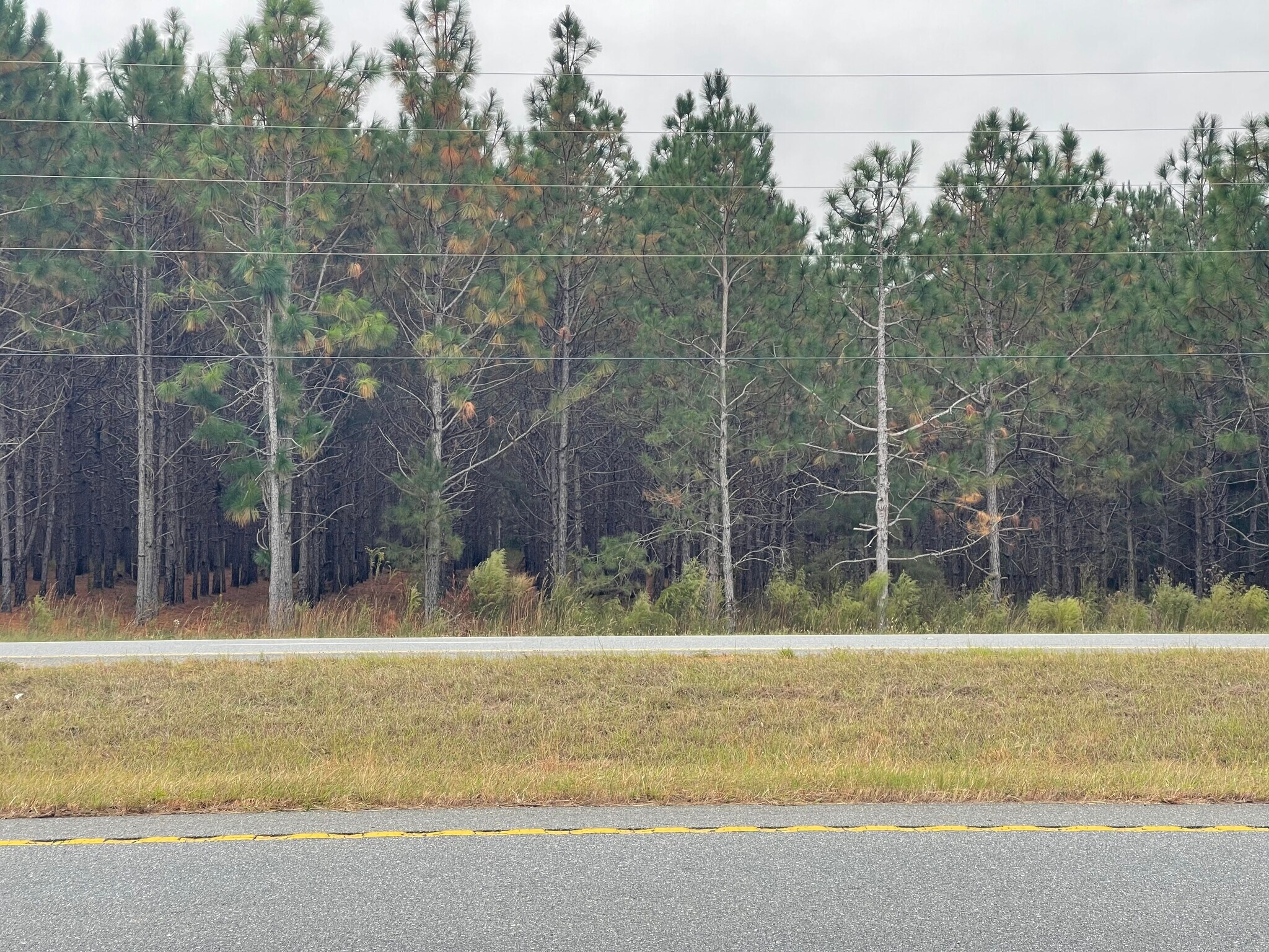 U.S. 341, Fort Valley, GA for sale Primary Photo- Image 1 of 6