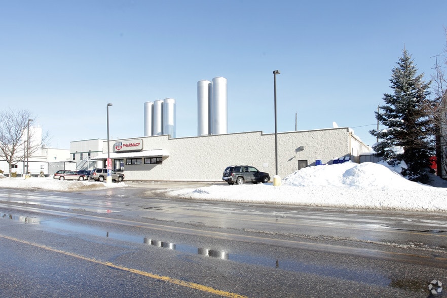 222 N Chestnut St, Reed City, MI for sale - Building Photo - Image 2 of 2